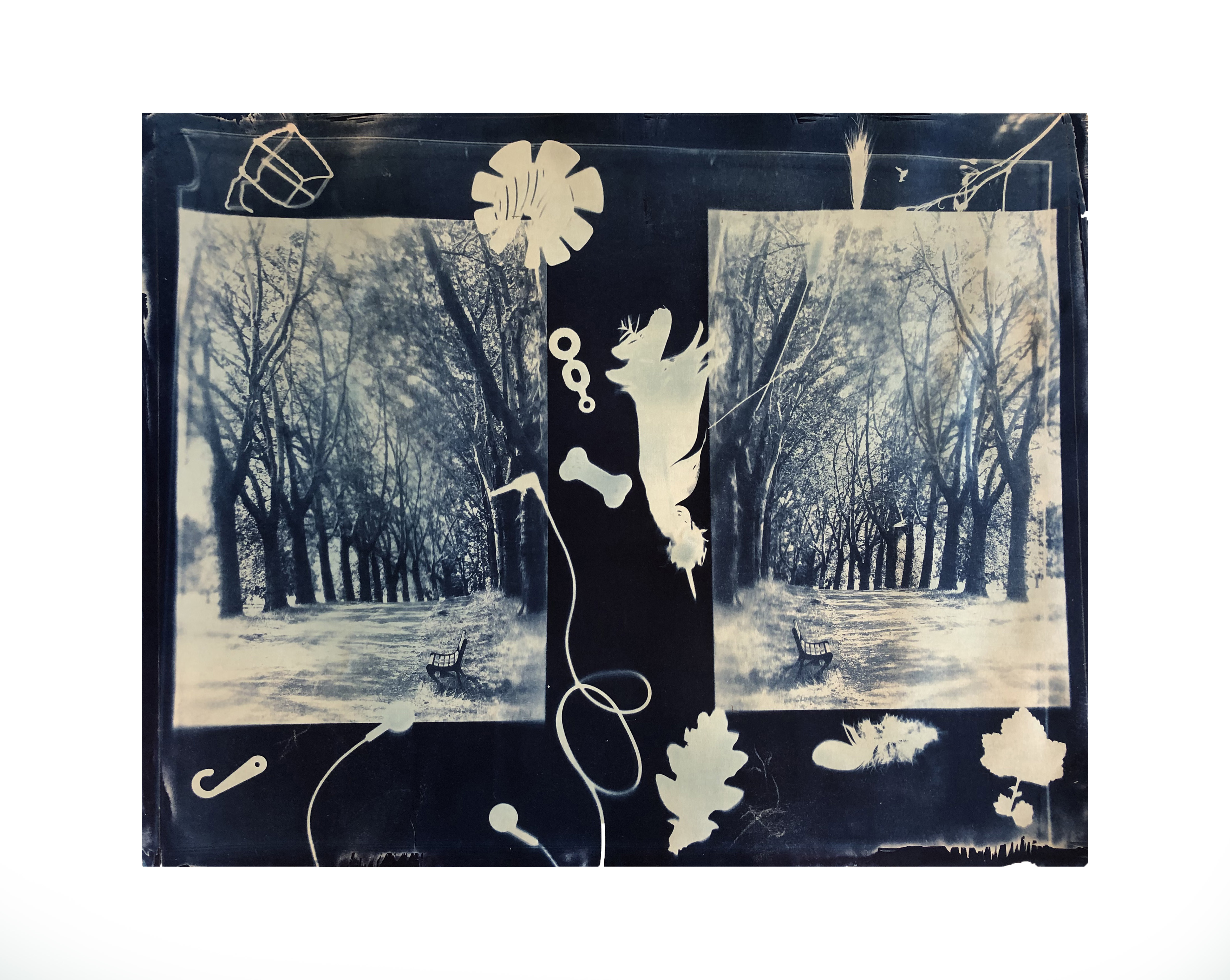 Cyanotype with direct sun printing