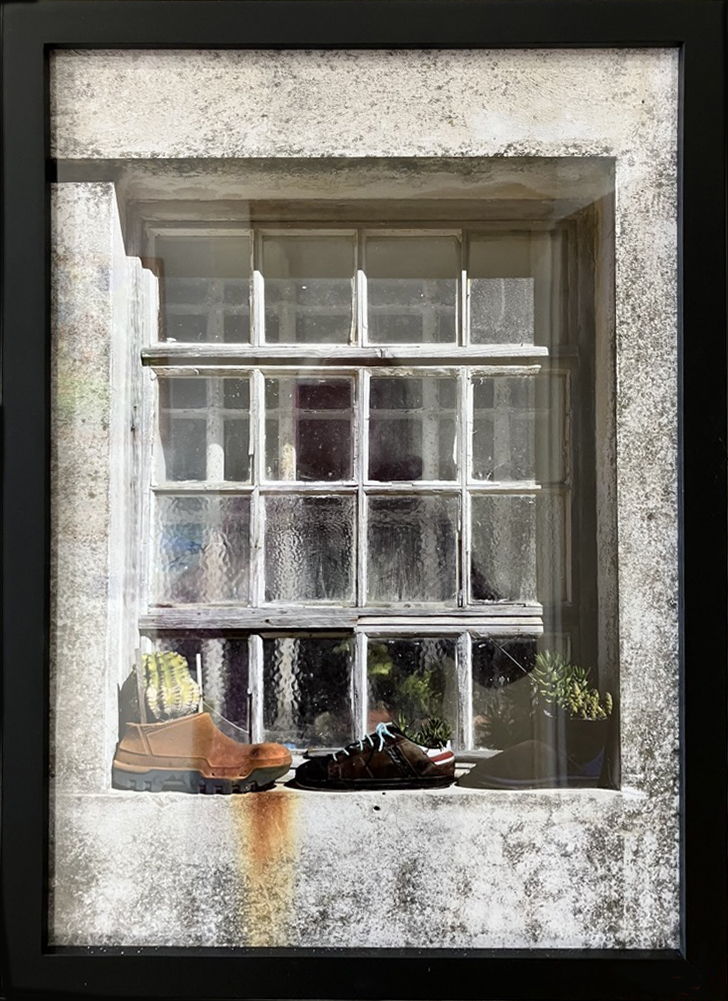 Image of window frame with plants