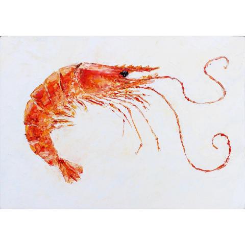 Oil painting of a prawn
