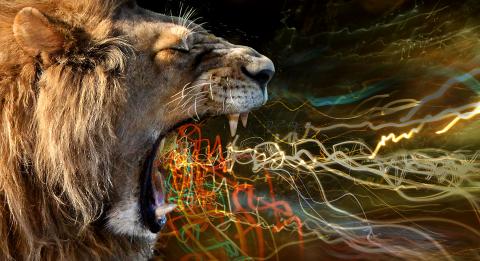 Roaring Lion Hear me Roar image by Jacqui Sinnatt