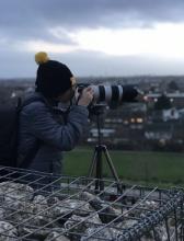 Wildlife Photographer